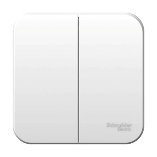 Выключатель двухклавишный Schneider Electric Blanca BLNVA105011. РФ.