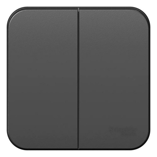 Выключатель двухклавишный Schneider Electric Blanca BLNVA105016. РФ.